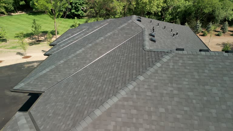 Best Hot Roofs  in Springfield, NE