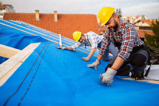 Trusted Springfield, NE Roofing Service Experts